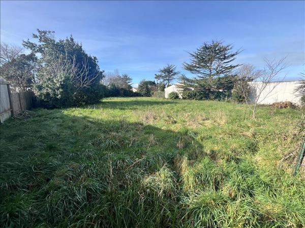 Terrain à vendre |  La Brée-les-Bains |  971 m²