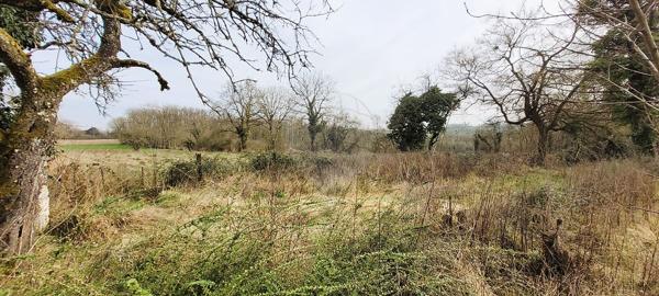 Maison  en vente - Yonne - 89