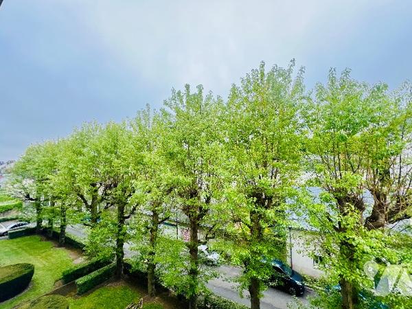 TOURS 
Rue Losserand
Quartier Paul Bert
Proche tramway et pont  Wilson