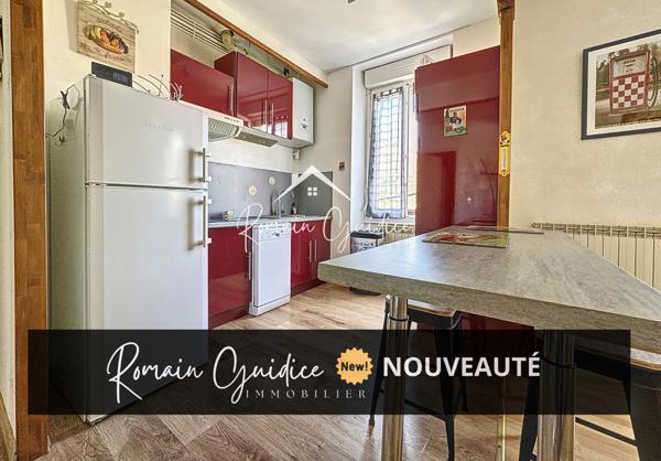 Millau (12100) APPARTEMENT TYPE 2 DE 44 M2 EN CENTRE VILLE