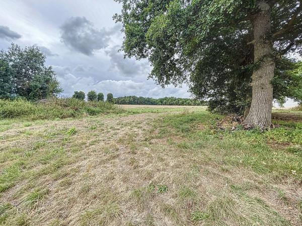 Maison à CARENTOIR (56910)
