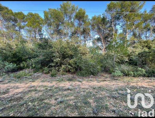 Terrain à vendre 10 302 m² Lorgues