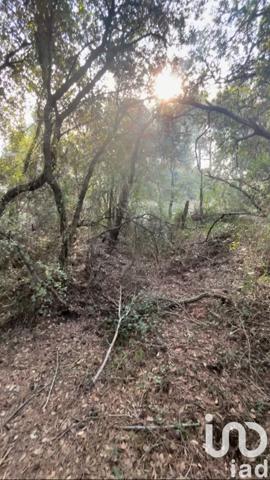 Terrain à vendre 10 302 m² Lorgues