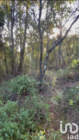Terrain à vendre 10 302 m² Lorgues