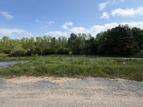 Vente
                Terrain480 m² - VAUX SUR MER (17640)