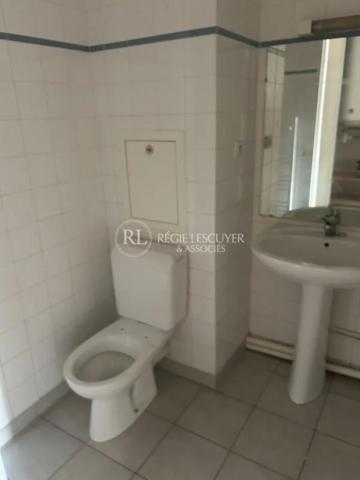 Appartement à louer à Villeurbanne (69100)