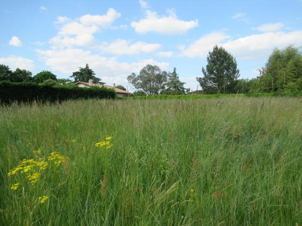 Villemade (82130) TERRAIN A BATIR A 10 MINUTES DU CENTRE DE MONTAUBAN