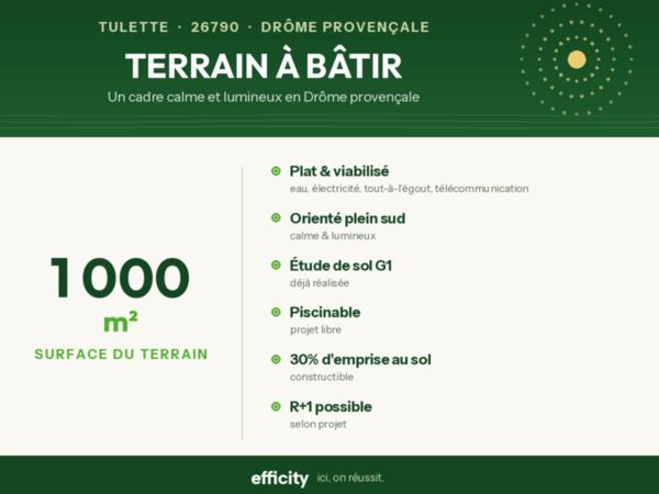 Terrain
        
        - 1000 m² Exclusivité 100 000 € *