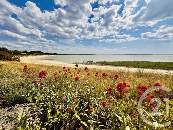 Appartement T4 à vendre  4 pièces - 108,32 m 2   LA ROCHELLE  - 17