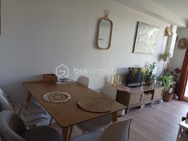 Studette de 26,50 m²