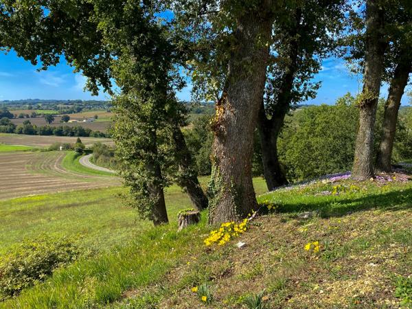Maison à vendre à Castillonnès (47330) - Lot-et-Garonne