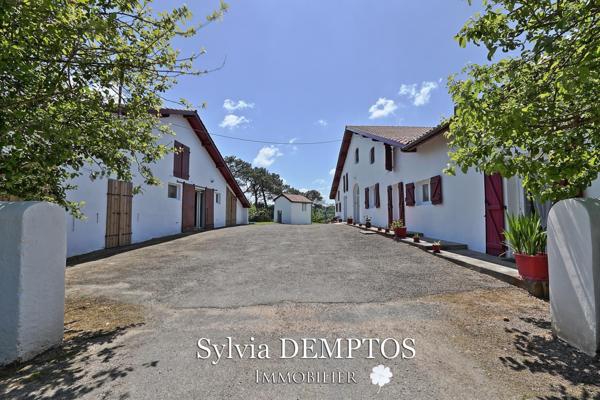 Ferme landaise sans vis à vis, avec vue sur les Pyrénées et la Rhune.