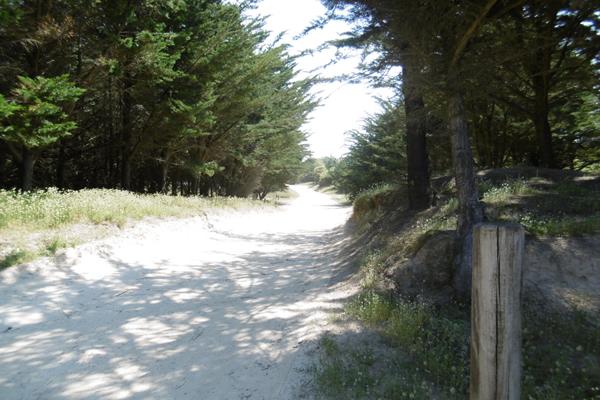 Terrain viabilisé de 450 m² - Notre Dame De Monts