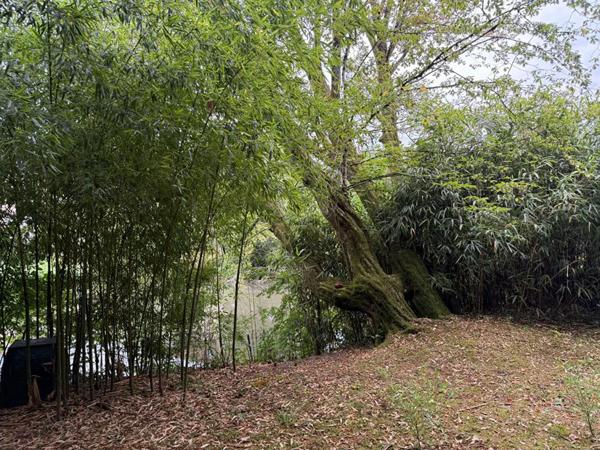 Appartement à vendre à Figeac (46100)