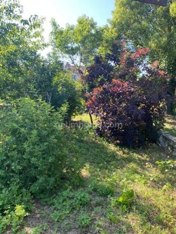 Belle maison en pierres, au coeur du village de Villebois-Lavalette