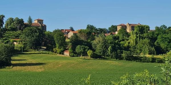 Dpt Gers (32), à vendre NOGARO proche, TRES ELEGANTE PROPRIETE RURALE sur 4.5 hectares, MAISON de MAITRE, GITE, deux piscines neuves, parc séculaire, SANS NUISANCE