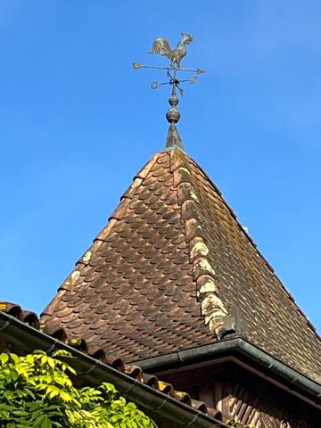 Dpt Gers (32), à vendre NOGARO proche, TRES ELEGANTE PROPRIETE RURALE sur 4.5 hectares, MAISON de MAITRE, GITE, deux piscines neuves, parc séculaire, SANS NUISANCE