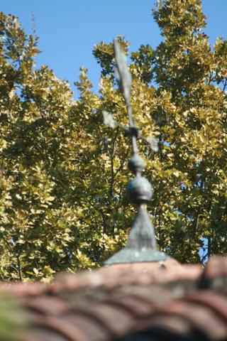 Dpt Gers (32), à vendre NOGARO proche, TRES ELEGANTE PROPRIETE RURALE sur 4.5 hectares, MAISON de MAITRE, GITE, deux piscines neuves, parc séculaire, SANS NUISANCE