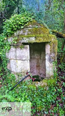 Tranquillité et espace – Propriété moderne avec terrain boisé