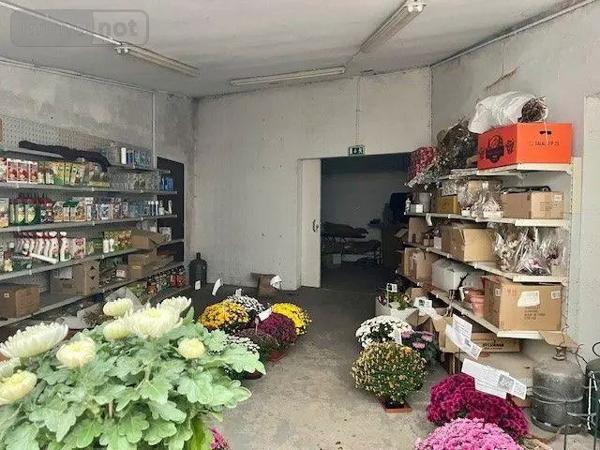 Achat - Immeuble | Immeuble Marolles-les-Braults 72260 16 pièces 438 m 2