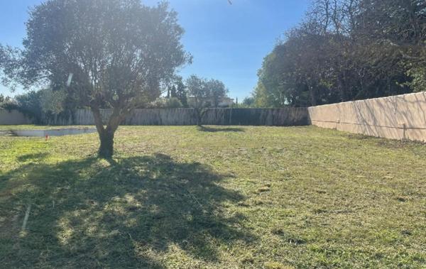 Vente Terrain Lansargues   