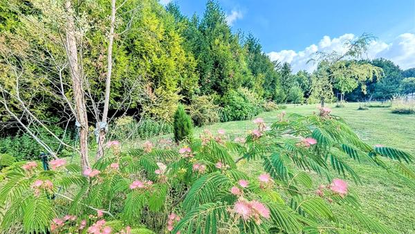 Maison entièrement rénovée, avec dépendances et vergers à 10 min de Romilly-sur-Seine
