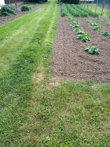 Terrain 1750m² constructible et borné