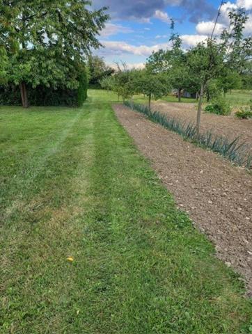 Terrain 1750m² constructible et borné