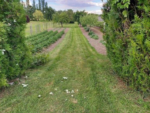 Terrain 1750m² constructible et borné