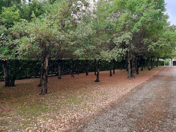 Vente / Maison de plain-pied