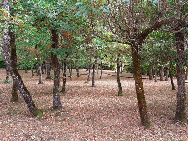 Vente / Maison de plain-pied