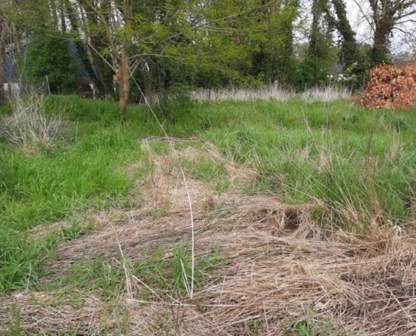 Terrain à bâtir 1000 m²  51000€