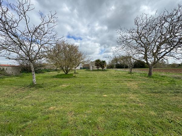 Charentaise Surgères 17700