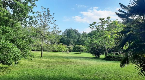 PROPRIETE DU 16e SIECLE, SUR 3 HECTARES, GRANGES, IDEAL CHEVAUX