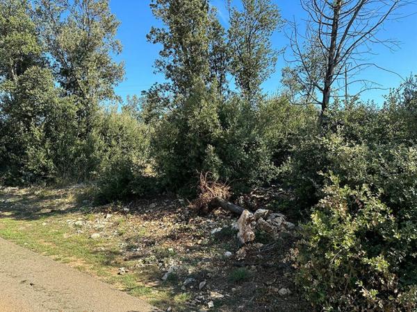 Terrain à vendre    Orgnac-l'Aven