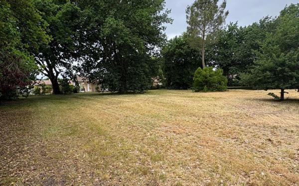 Terrain à vendre