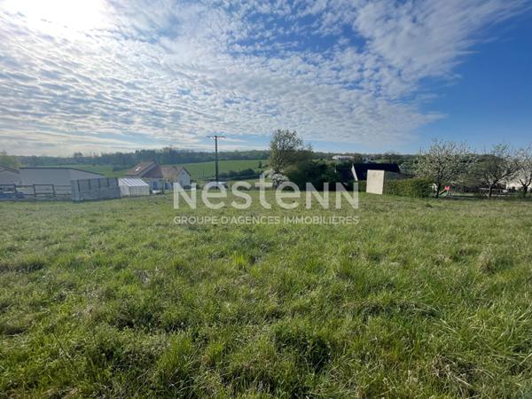 COMBLES-EN-BARROIS - Terrain constructible de 6910 m² - Opportunité pour promoteur ou investisseur