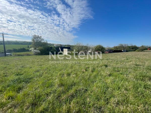 COMBLES-EN-BARROIS - Terrain constructible de 6910 m² - Opportunité pour promoteur ou investisseur