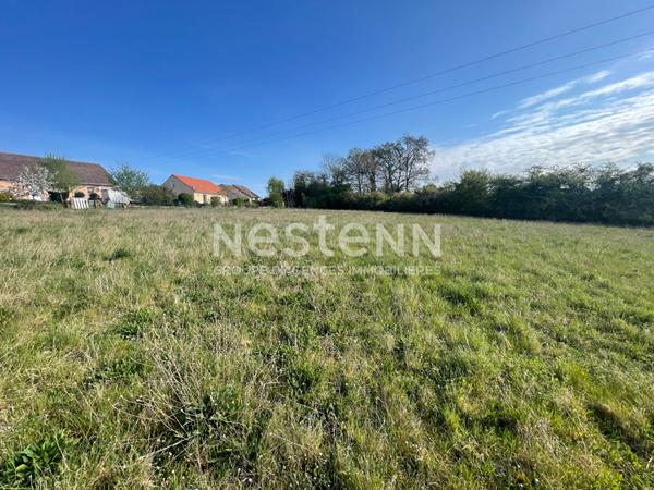 COMBLES-EN-BARROIS - Terrain constructible de 6910 m² - Opportunité pour promoteur ou investisseur