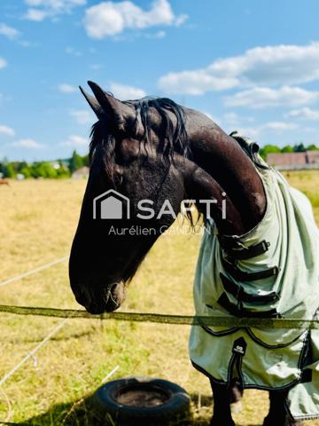 Maison et propriété équestre