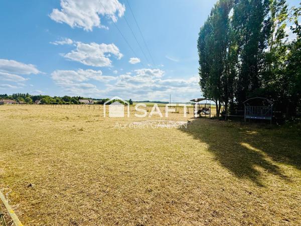 Maison et propriété équestre