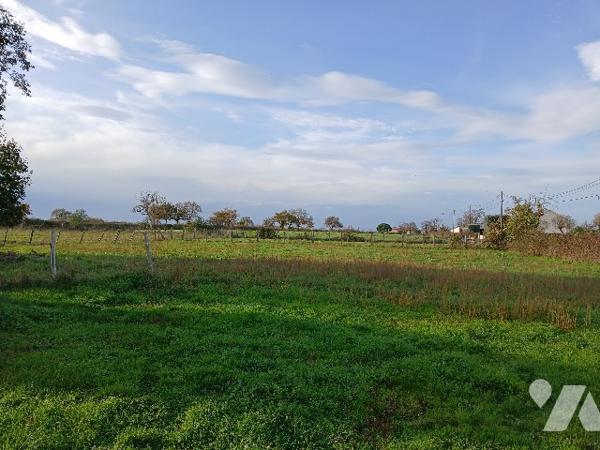 Maison à vendre à LOUIN (79600)