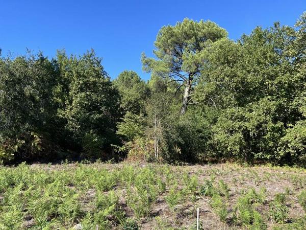 Terrain à vendre 342 400 € Pessac 1537 m² DPE