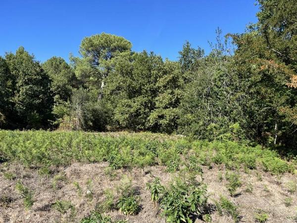 Terrain à vendre 342 400 € Pessac 1537 m² DPE