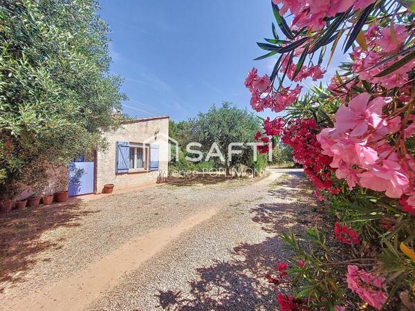 Fort potentiel de valorisation, maison provençale à rénover avec dépendance T2, piscine et pool house.