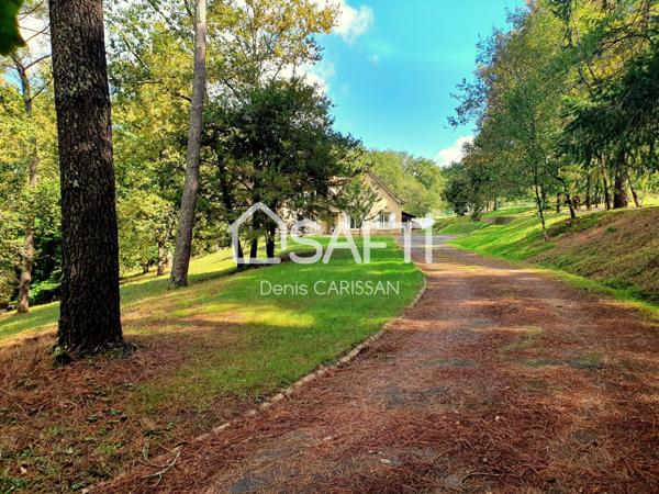 Maison en pierre, 8 pièces sur grand terrain arboré