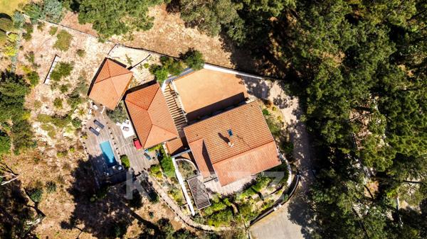 Villa d'exception vue pinède infinie