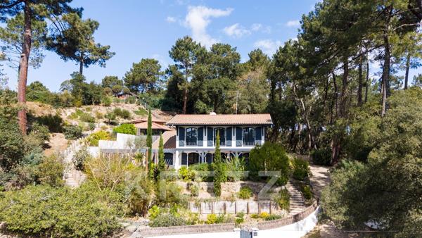 Villa d'exception vue pinède infinie