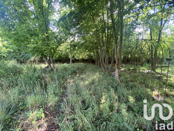 Terrain à vendre 5 000 m² Saint-Fargeau-Ponthierry