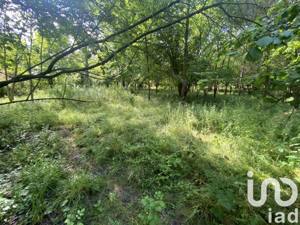 Terrain à vendre 5 000 m² Saint-Fargeau-Ponthierry